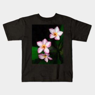 plumeria-flowers-frangipani-floral-white-pink-blossoms-shirtyshirto-34 Kids T-Shirt